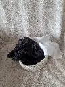 20240605_194420.webp