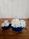 20240403_190229.webp