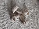 20241014_143512.webp
