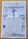 20241104_154853.webp