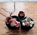 20240403_182259.webp