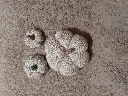 20240309_190547.webp