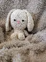 LAPIN