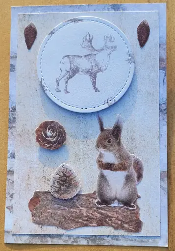 CARTE Ecureuil + ENVELOPPPE