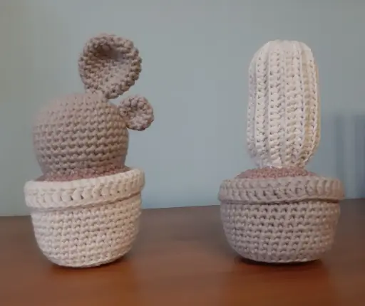 CACTUS